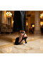 Diva Feathered Black Goblet Heeled Shoes - 6