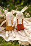 Handmade Knitted Toy Doll Rabbit Rabi Special Gift Boxed