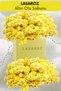 Golden Herb Soap Immortelle Flower Plant Anti-Aging Moisturizing Soap 3X100 Gr Advantageous Set - 5
