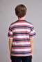 100% Cotton New Regular Fit Crew Neck Striped T-Shirt for Boys H4343A826Hs - 6