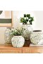 Alban Ceramic Vase 28x28x24cm - Green - 3
