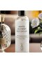 White Alchemy Whispering Wood Reed Diffuser 200ml - White - 2