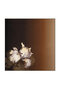 وشاح حريري بني منقوش من Irises