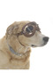Dog Sunglasses Sakari - 3