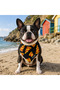 Pizza Cat And Dog Collar Scarf Bandana