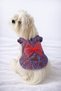 Cat-Dog 100% Cotton Viscose Summer Shirt - Undershirt - Dress - Clothing