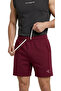 Men's Fitness Sports and Training Shorts Cred - 5