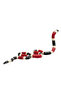 Coral Snake -M - 4