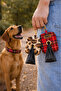Plaid Dog Poop Bag Holder - Bag with Gift Bag - 2