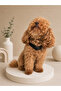 Black Adjustable Dog Collar and Leash Set 3 Sizes S-M-L - 2