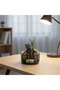 Metal Mesh Rotating Desk Organizer & Pen Holder – Black | 13 cm - 2