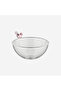 Autumn Transparent Borosilicate Glass Soup Bowl 10 cm