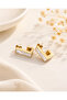 Steel Pearlescent Design Earrings
