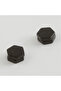 Hexagonal Figured Magnetic Earrings Elk-Bjtieg