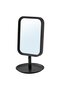 LINDBYN Table mirror, black, 14 x 27 cm