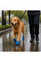 Cat and Dog Paw Bandage - Waterproof - Self-Adhesive - 6 Colors - 2