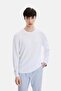 White Regular Fit Crew Neck Seasonal Knitwear - 4