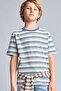 100% Cotton New Regular Fit Crew Neck Short Sleeve Striped Blue T-Shirt Boys H7903A826Hs