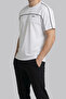 3615 Men's Crew Neck T-Shirt with Stripe Detail Regular Fit - 3