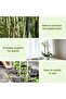 FFD 2pcs Natural Bamboo Plant Stakes - Durable Garden Support Poles for Climbing Plants - 4