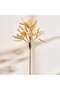Aloe Artificial Stem Flower H80cm - Cream - 3
