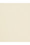 White A-Line Woven Skirt 50325152-Vr013 - 6