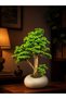 Bonsai ağacı
