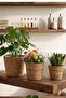 Crow Natural Wicker Flower Pot Hsr-93 Flower Pot Set with Inner Bag - 3 Size Wicker Multi-Purpose Organizer Towel Basket - 5
