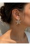 Women's Steel Star Zircon Stone Earrings - 5