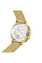 Wwmd6000 Women's Wristwatch - 5