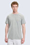 Gray Regular Fit Printed Crew Neck 100% Cotton T-Shirt