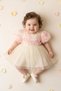 Baby Girl Birthday Party Wedding Dress Short Sleeve Sleeveless Rose Bow Tulle Tutu Lined - 2