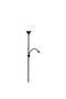 Mabli 2-Light Floor Lamp 24x24x178cm - Black - 8