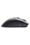 Mouse GLORIOUS PC Model D2 Pro Wireless Negru