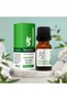 Peppermint Oil Organic and Herbal Oils, 10Ml - 3
