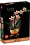 Botanicals: Mini Orchid 10343