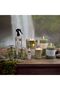 Alvea (120G) Harmony Pine & Eucalyptus Jar Candle - 4