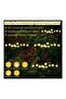 4-Pack 10-LED IP65 Waterproof Solar Firefly Lights for Garden & Balcony (Warm White) - 5