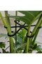 4Pcs Transparent Plant Support Clips, Monstera Anti-Tipping Hydroponic Stem Guidance Fasteners, Decorative Potted Flower Clamps Set - 4
