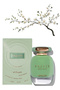 11 قطعة من عطر برايز ماتشا 100 مل - 3