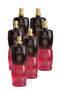 6 قطع من عطر ستار دازل 80 مل
