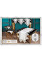 Mimoza Model Cream 5 Piece Lace Tablecloth Runner Set Elegant Living Room Set - 4