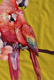 Yellow Background Red Parrot Illustration Patterned 70X150 Beach Towel - Digital Printed Fade-Resistant Bath Towel - 2