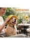 Dog Baseball Cap - Corduroy Adjustable Summer Brim with Ear Holes UV Protection, Suitable for Puppies and Kittens Photo Accessory Blue M - 2