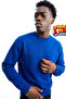 Men's Regular Long Sleeve Blue Basic Sweatshirt