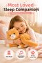 Plush Cat with Sound and Music 36cm – Soft Sleeping Companion Cute Plush Toy - 2