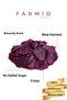 Sugar-Free Dried Dragon Fruit 210Gr - Natural and Without Additives - 3