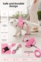 Kpcl-10321C Cat Collar and Leash Set |   Adjustable Neck and Body |   120 cm Strap |   Safe Buckle - 3