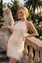Ecru Tassel Sequin Halter Neck Tulle Mini Lined Evening Dress Graduation Party Dress Tprss26El00188