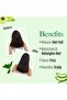 Scalp And Hair Medicine Anti-Hairfall Conditioner Green-Gold 200ml - 4